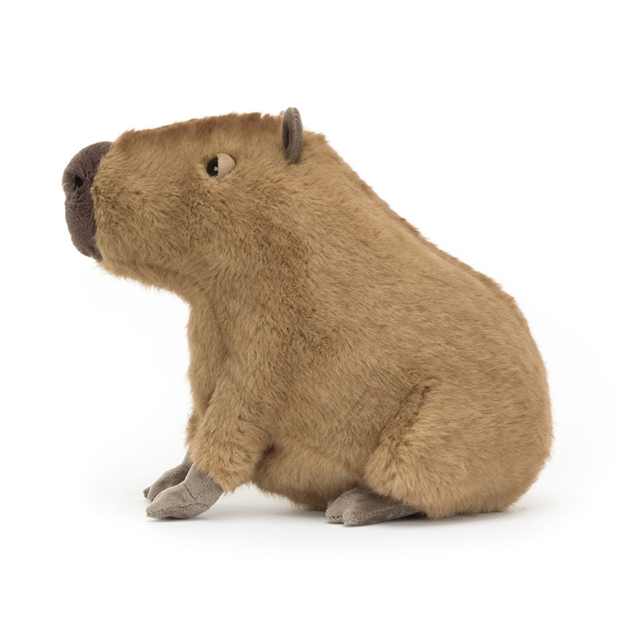 Clyde Capybara - Image 3