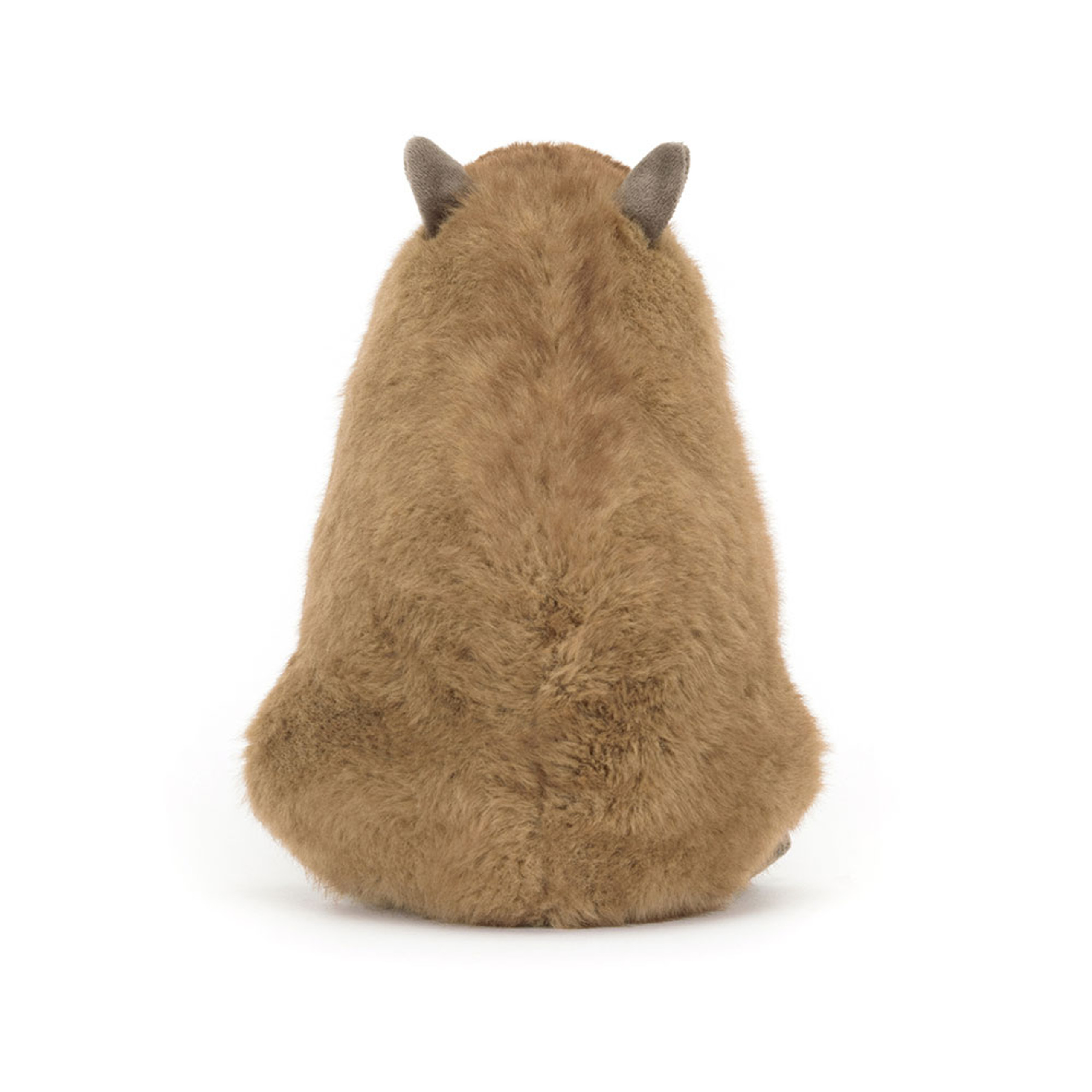 Clyde Capybara - Image 4